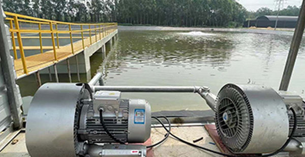 工廠化水產(chǎn)養(yǎng)殖設(shè)備品牌定位案例分析