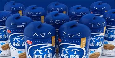 六個核桃的品牌戰(zhàn)略分析